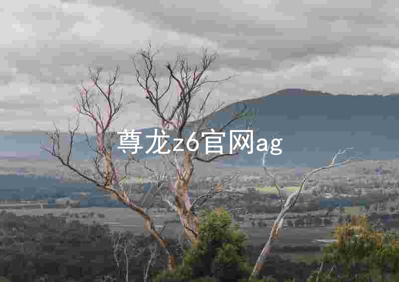 尊龙z6官网ag