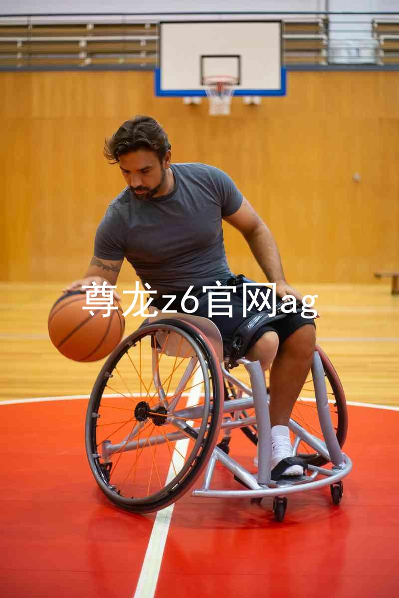 尊龙z6官网ag