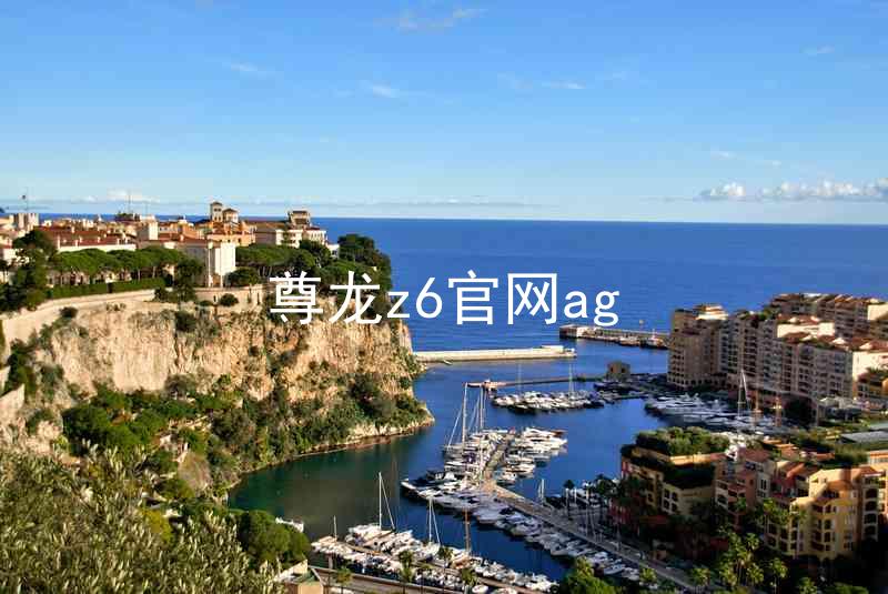 尊龙z6官网ag