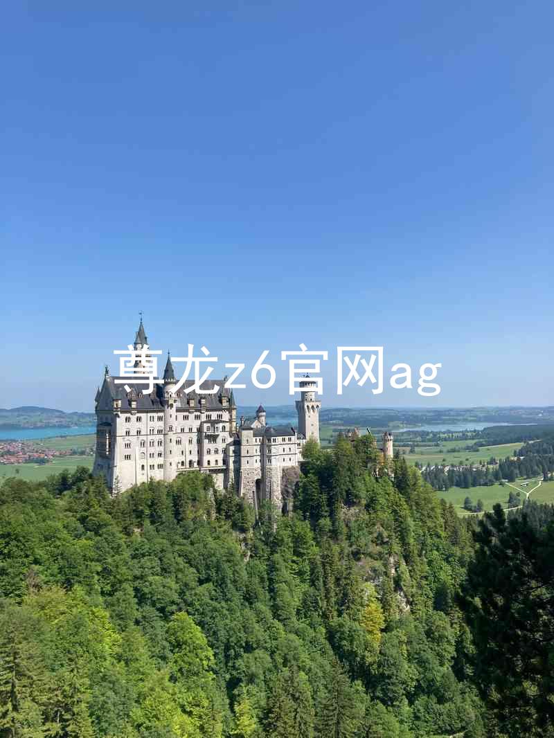尊龙z6官网ag